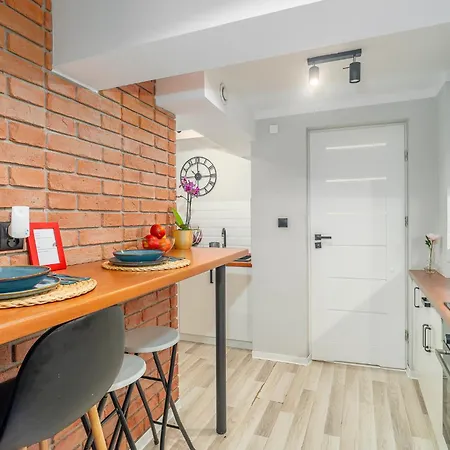 Modern Syrokomli Apartment